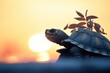 silhouette of tortoise with leaf in twilight