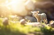 lamb chasing butterflies in sunlight