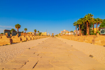 Wall Mural - Alley of Sphinxes near Luxor Temple.