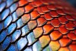 Detailed view of a lizard's scale pattern