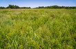 The Landscape of Washita Battlefield National Historic Site