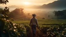 Strolling Through A Coffee Field At Sunrise: Man With Hat Enjoying Serene Morning Moments