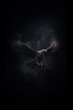 Fantasy eagle - eagle deity - eagle god - dark background - misty, foggy, smokey - Mysterious portrait of an eagle - Cinematic movie poster style