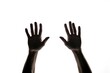 © Alina - Dark silhouette hands behind glass on white background