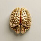 Fototapeta Sawanna - Golden human brain lying flat on a light background