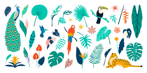 Poster - Hand drawn exotic flora and fauna illustration set with wild animals and tropical leaves