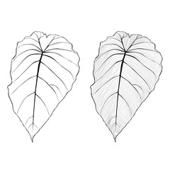 Sticker - Tropical line philodendron leaves set. Golden line art texture from palm leaves, Jungle leaves.