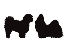 Vector Silhouette Couple Of Shih Tzu Dogs On White Background. Symbol Of Pet And Breed.