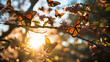 A photo of the migration of monarch butterflies, with a swarm of butterflies as the background, during their annual journey