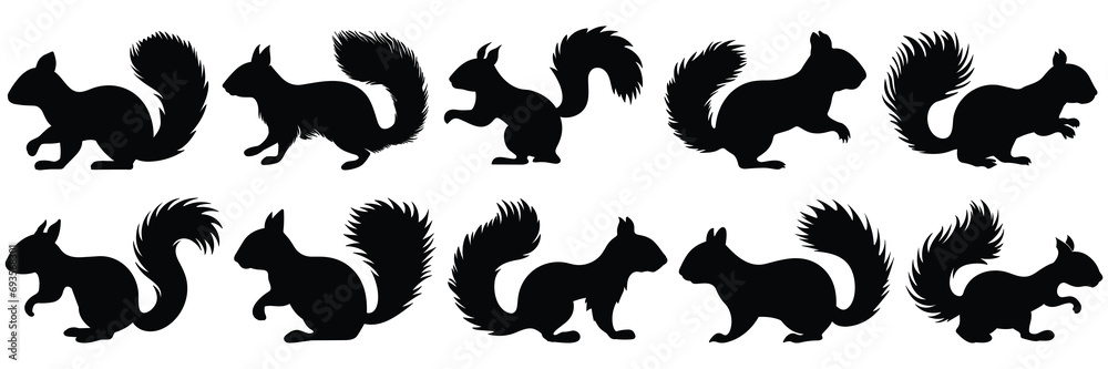 Squirrel silhouettes set, large pack of vector silhouette design, isolated white background
