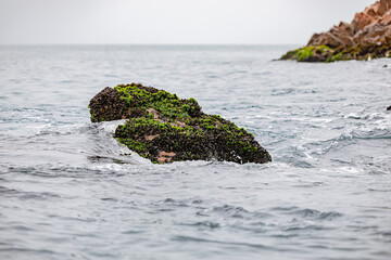 Ballestas Islands, Peru