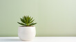 Green succulent in a minimalist white vase, Green background, Copy space, Generative AI