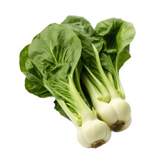 Wall Mural - Bok choy vegetable isolated on white or transparent background