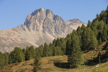 Wall Mural - Bündner Alpenlandschaft; Blick von Südwesten auf den Piz Lagrev (3165 m), Albula-Alpen 