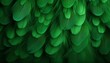 Detailed digital art of green feathers texture background showcasing large bird feathers