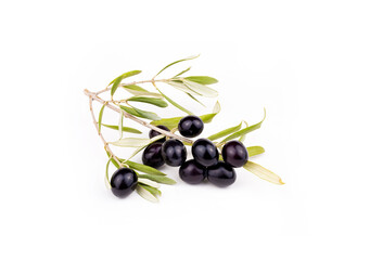Wall Mural - Fresh black olive on the white background