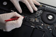 a computer fixing service, master with tweezers repair laptop in the workshop