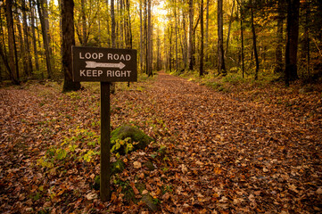 Poster - Wooden Sign Points Traffic Right on Loop Road