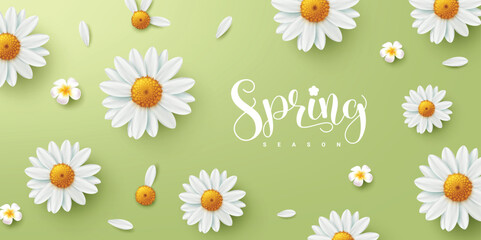 Wall Mural - spring season text greeting vector design. spring season text in green background with daisy bloomin