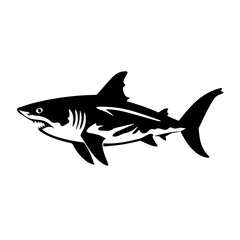 Poster - Shark Vector