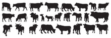 Silhouettes Of Cows Vector Illustration Set