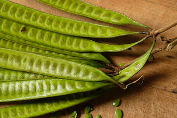 Wall Mural - Lamtoro, kemlandingan, petai selong or petai cina is a kind of shrub from the Fabaceae tribe, which is often used in land greening or erosion prevention. Leucaena leucocephala