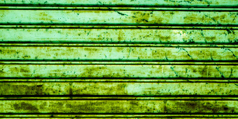 Wall Mural - background green old weathered aged steel door roller shutter metal texture iron rusty