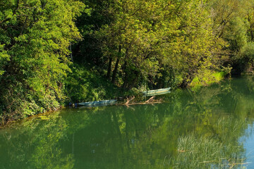 Wall Mural - Wooden boats on the Korana River as it passes through the town of Karlovac in central Croatia