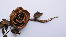 Brown Rose On White Background. Flat Lay, Top View. Copy Space.