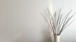 Sunlight through window on dried flower branches in white vase with white wall background