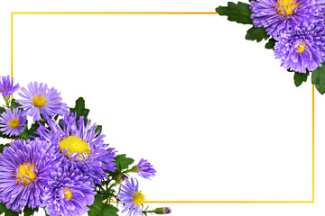 Poster - Purple aster flowers in a floral corner arrangements and a frame isolated on white or transparent background