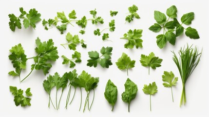 Poster - A bunch of green leaves on a white surface. Perfect for nature-themed designs and botanical illustrations
