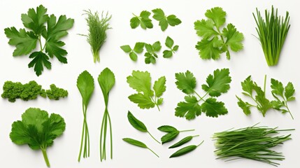 Poster - Assorted herbs displayed on a clean white surface. Suitable for culinary, herbal medicine, or natural lifestyle concepts