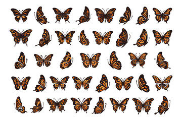 Wall Mural - vector monarch butterfly black and orange silhouette set cutout insect wing wing animal summer sprin