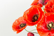 Beautiful red poppy flowers for decoration and gifts, still life with poppy
