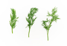 Three Sprigs Of Green Fresh Dill On A White Background Isolated. Greens For Health.