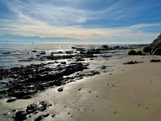 Wall Mural - Pacific ocean water edge rock formations at low tide