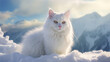 Beautiful white fluffy turkish angora cat on snow background. Generative AI