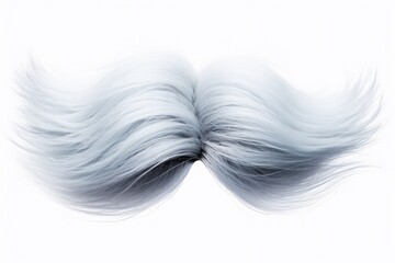 Poster - Close-up view of a moustache against a plain white background. Suitable for various purposes