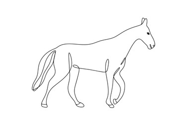 Wall Mural - Horse. One line