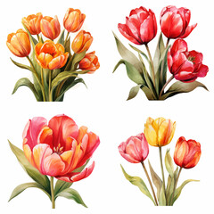 Wall Mural - tulip, flower, bouquet, spring, tulips, isolated, red, nature, flowers, bunch, blossom, floral, beauty, white, pink, bloom, plant, flora, leaf, gift, petal, arrangement, colorful, stem, garden