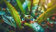 Tropical frog in jungle on a sunny day. Rainforest