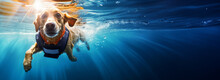 Smiling Rescue Dog Swimming Underwater In Special Suit, Portrait With Bright Expression Of Dog's Face, Joyful Pet, People In Water, Safe Active Sports, Safety Equipment, Ultra-wide Banner