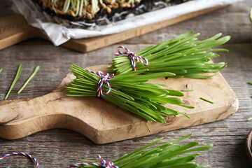 Wall Mural - Fresh blades of young green barley grass on a table