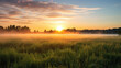 Open field at dawn, misty, dewy grass, sun peeking over horizon, serenity, freedom, natural colors, wide-angle