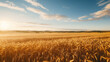 Sun-drenched oat field, gentle breeze, drone perspective, golden waves, bright blue sky, golden hour, warm tone