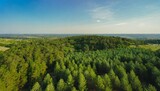 Fototapeta  - forest and tree landscape texture abstract background aerial top view forest atmosphere area texture of forest view from above ecosystem and healthy ecology environment concepts