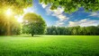 © Pauline - fresh air and beautiful natural landscape of meadow with green tree in the sunny day for summer background beautiful lanscape of grass field with forest trees and enviroment public park with sun ray