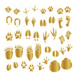 golden animal footprint set 