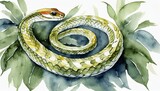 watercolor snake illustration on white background